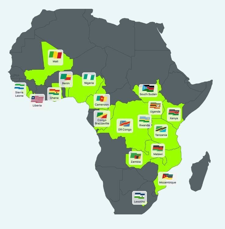 africa_markets_b4c63a0342.webp